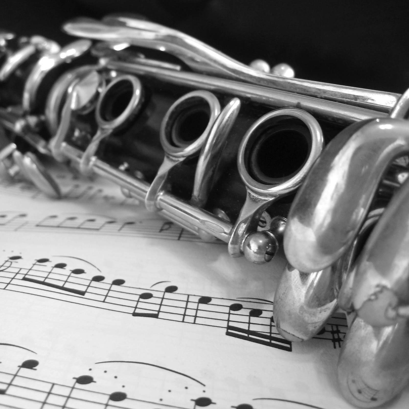 Spirals & Spatulas Photos, French Horn Photos, and Piano Photos