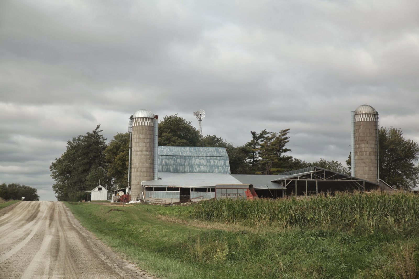 Black Sheep Woolens The Woolen Needle