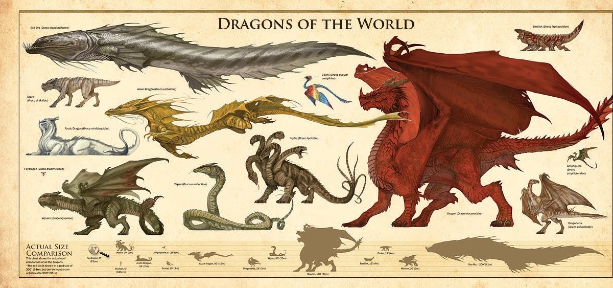 The Dracopedia Project Dracopedia Dragons Of The World Poster