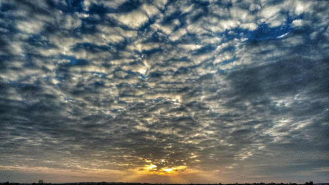 Top Books Apps Songs Movies And Tvseasons Previews