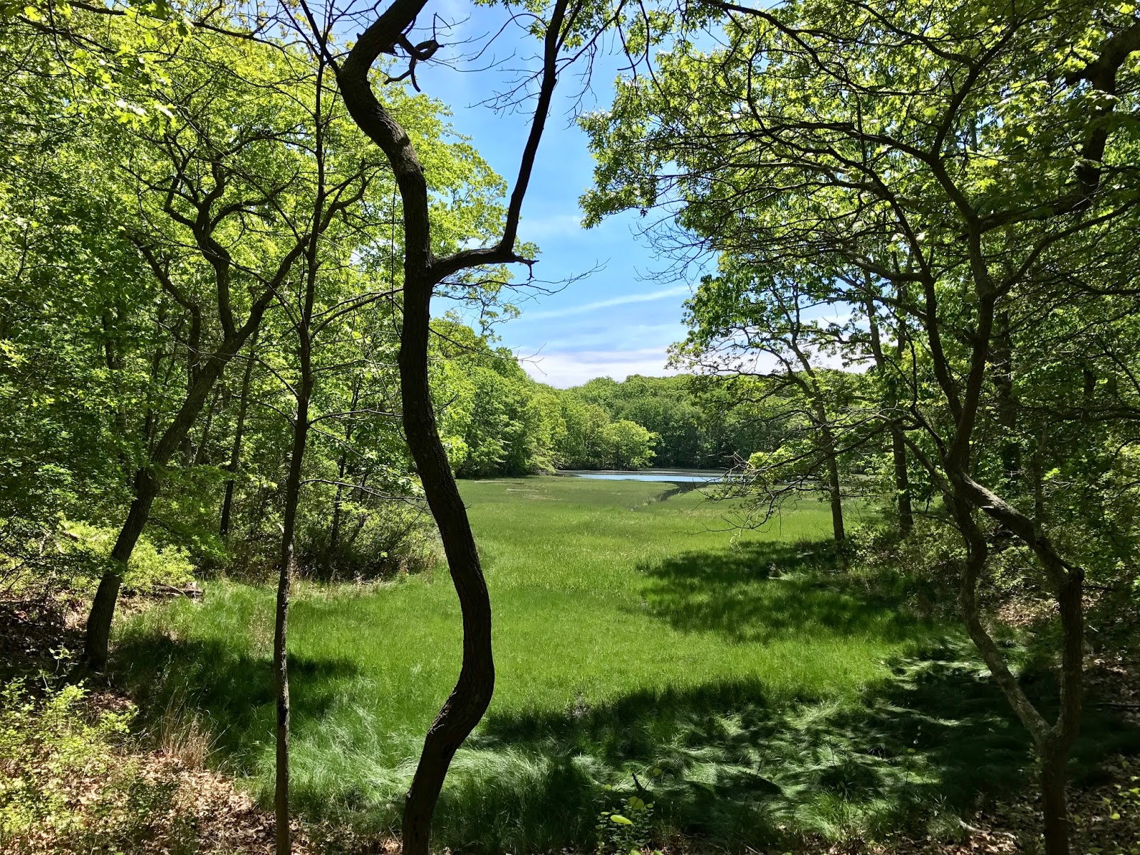 New York Getaway: The Hamptons & Shelter Island