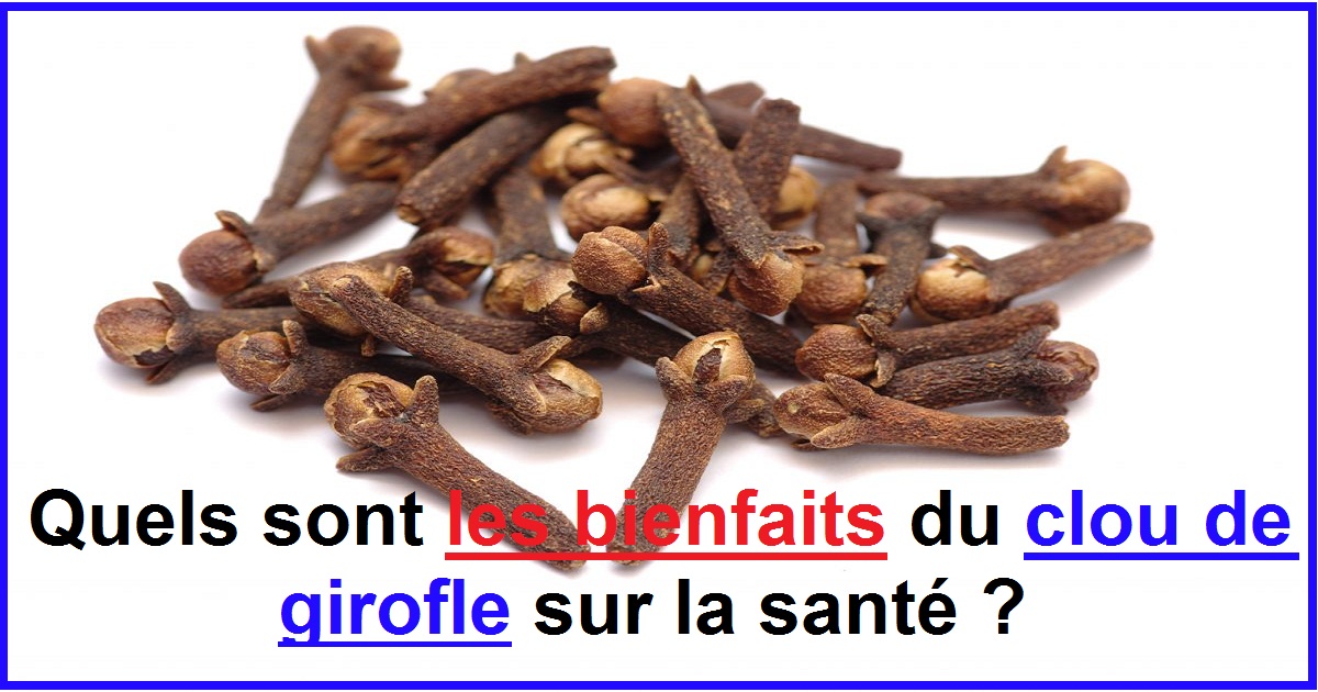 Quels sont les effets sur la santé avec les clous de girofle ?