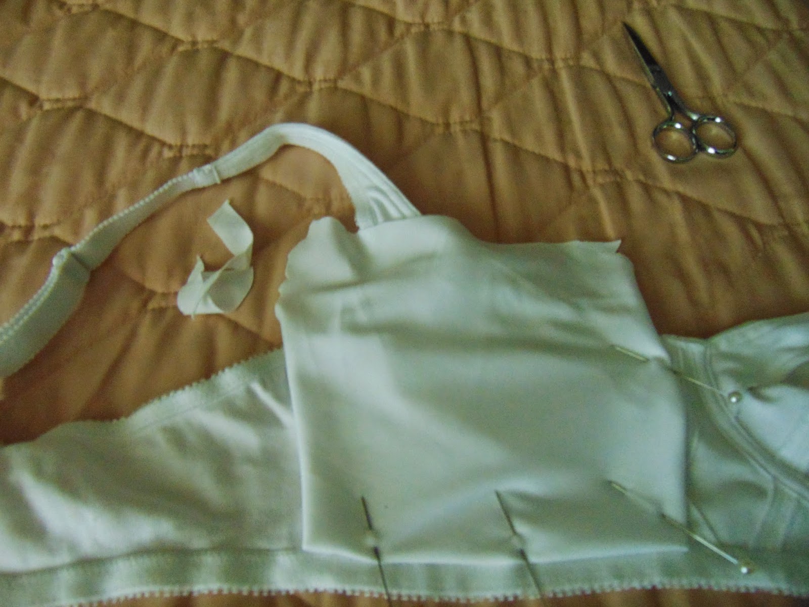 Bra with fabric pinned at center and bottom edge