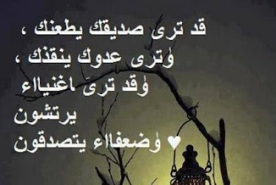 342735cdc50cdfb8be8cc8642ce4e5af.jpg