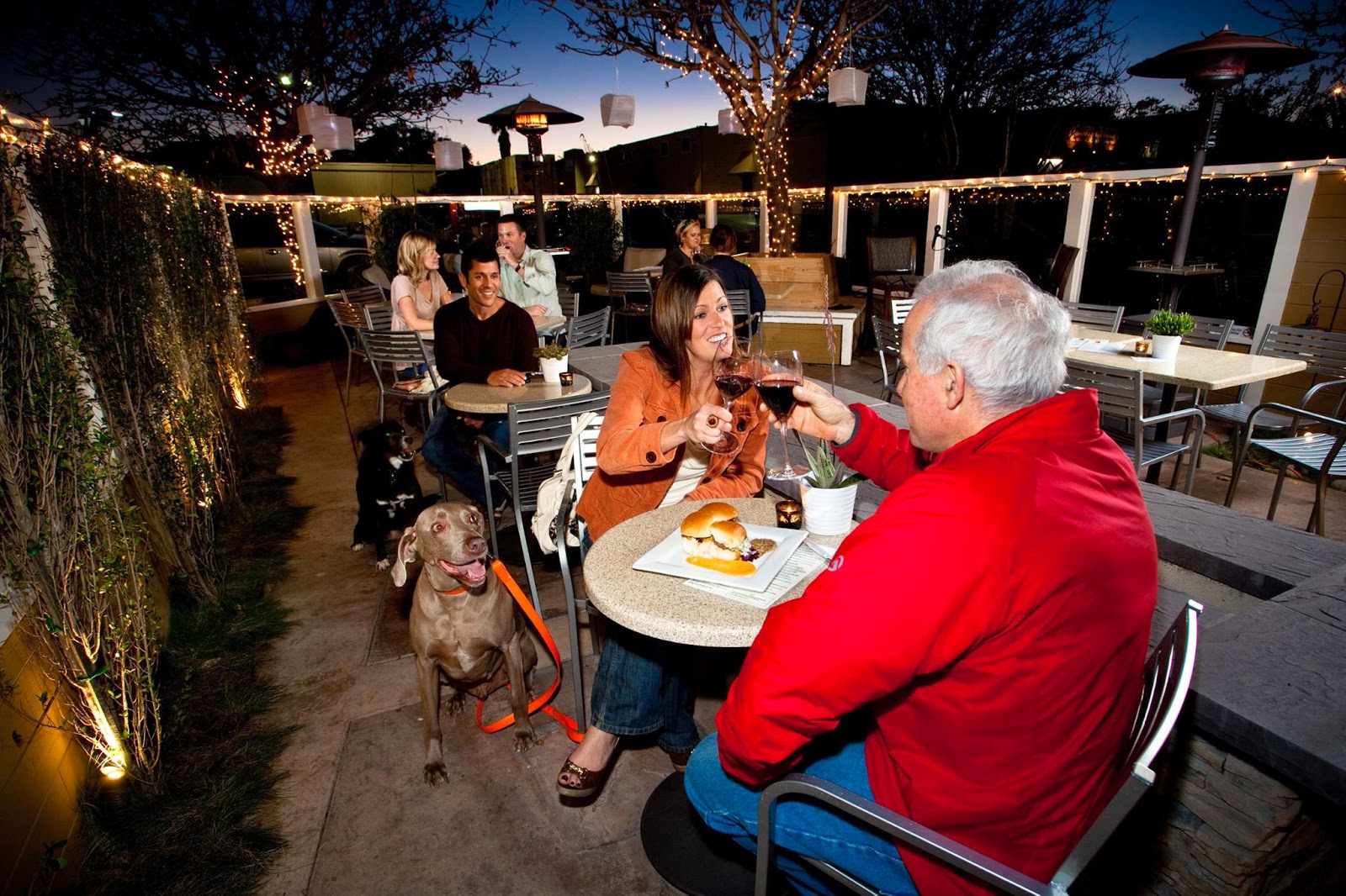 SanDiegoVille Dine With Your Dog to Benefit a Good Cause on Woofer