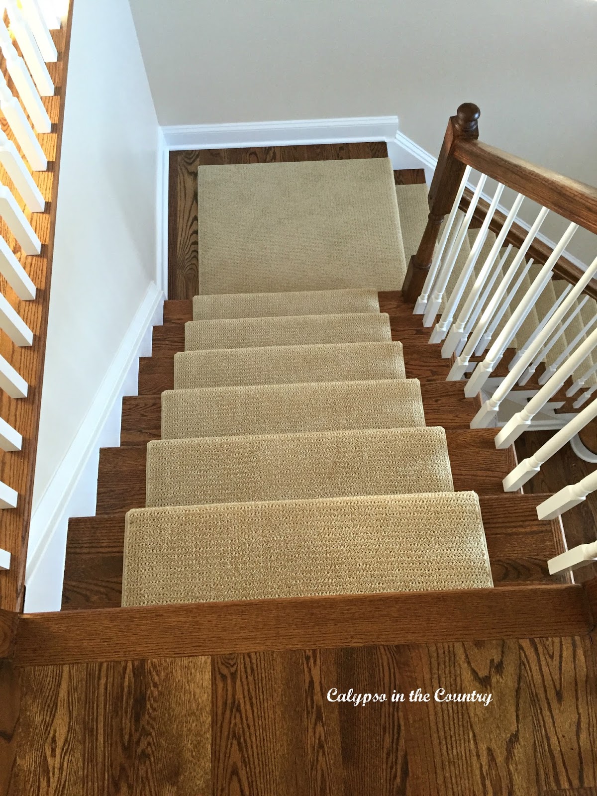 A Sisal Substitute for the Stairs Calypso in the Country