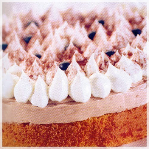 tiramisu Tiramisu cake  gelatin Cake