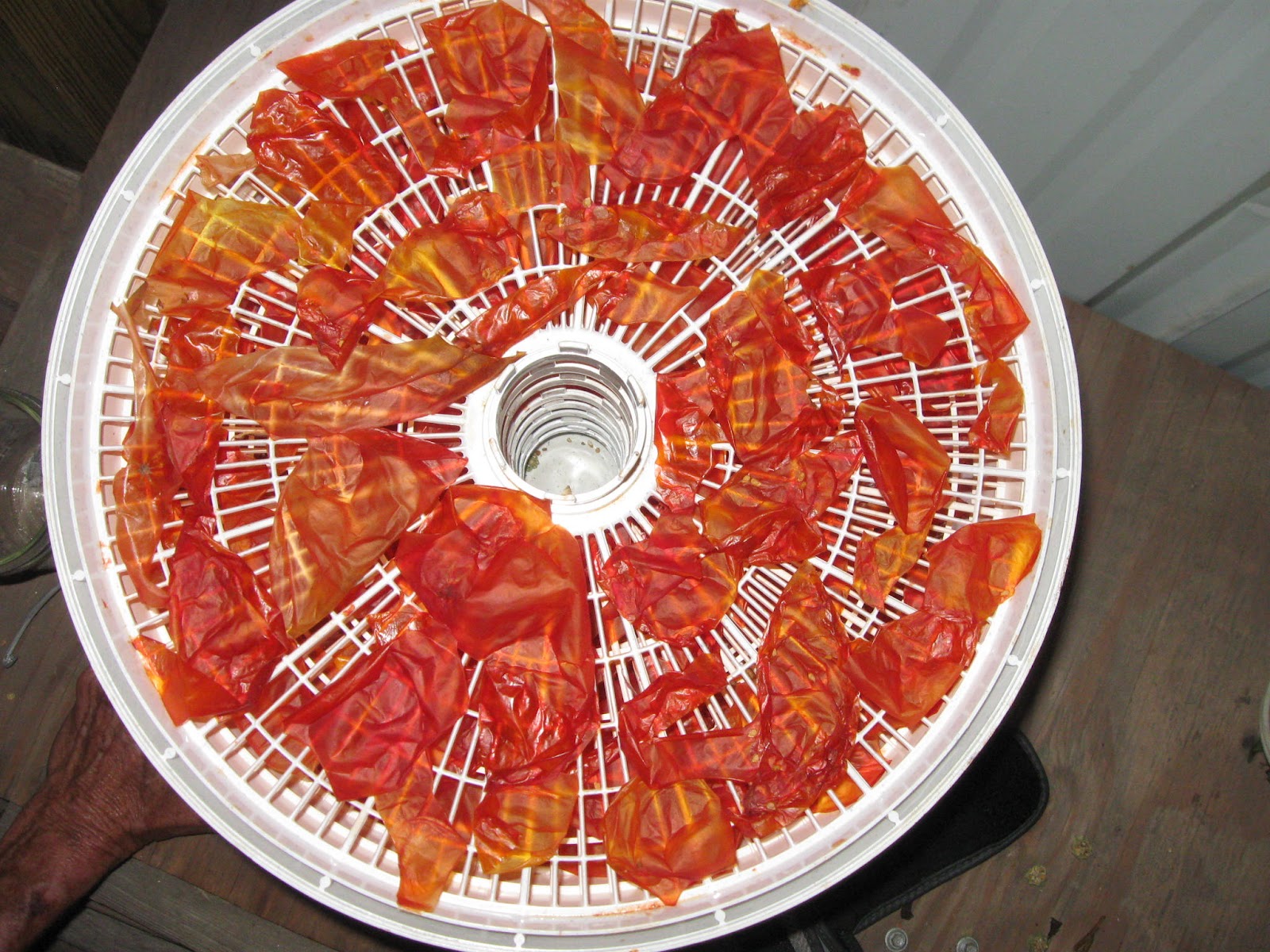 Bacon and Eggs DIY Tomato Powder"From Skins to Tomato Paste"