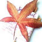 http://www.patypeando.com/2016/12/empaquetado-bonito-con-hojas-secas.html