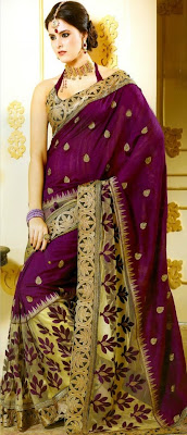 Embroidery new sari