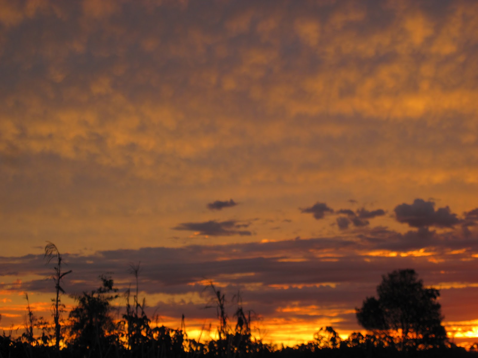 Tom's Ramblings In Paraguay: Winter is Coming