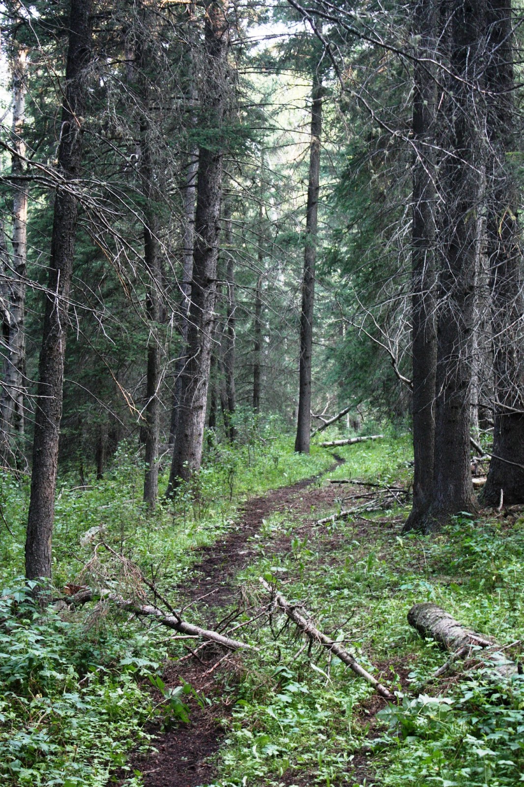 Get Me Outdoors Cypress Hills Centre Block