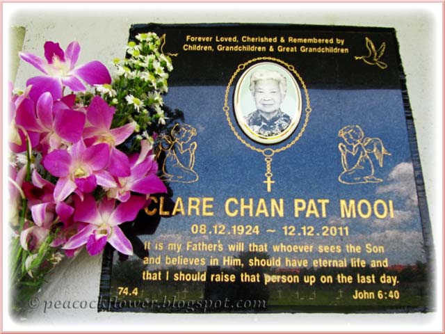 peacockflower's world: Rest In Peace, Clare Chan