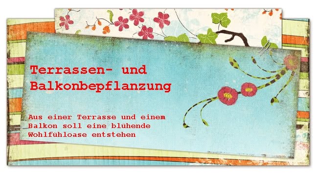 Rose partnervermittlung