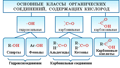 Сальников органическая химия