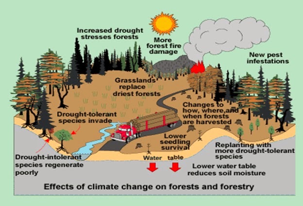 Compounding Effects Climate Risk On Climate Change