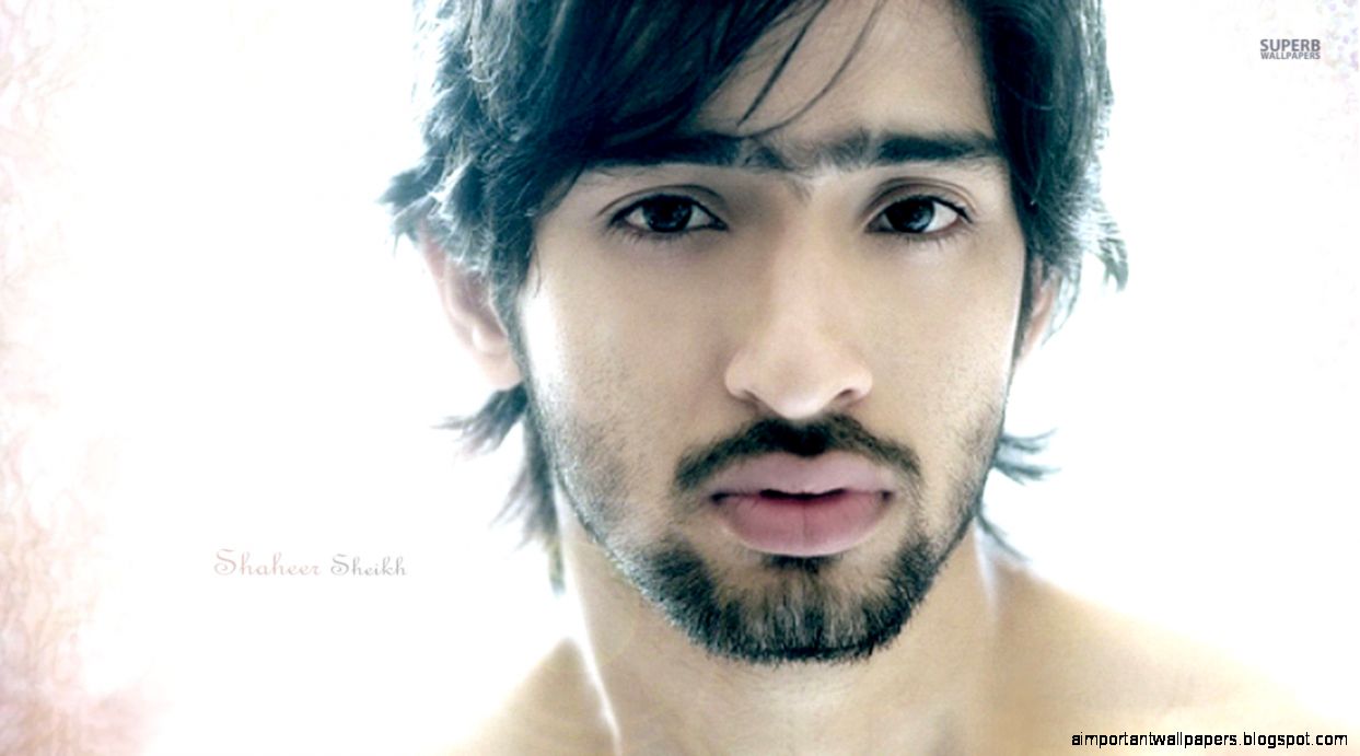 Shaheer Sheikh wallpaper   Male celebrity wallpapers   29092
