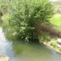 La Consellería Medio Ambiente limpia 390 metros del río Areal e invierte más de 55.000 euros en la comarca.
