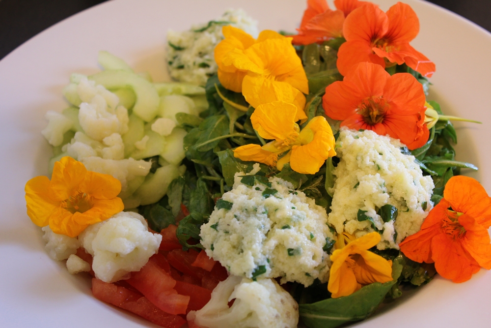 Wolkenfees Küchenwerkstatt: Blüten-Kräuter-Salat mit Dijonsenf-Dressing