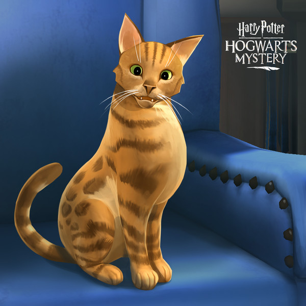 zerei o jogo do gato em Hogwarts : r/HamyFast