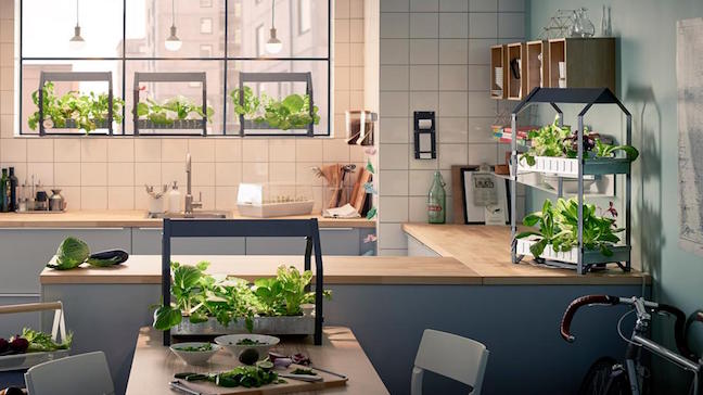 Sunday Morning Cultiver Ses Salades Avec Ikea