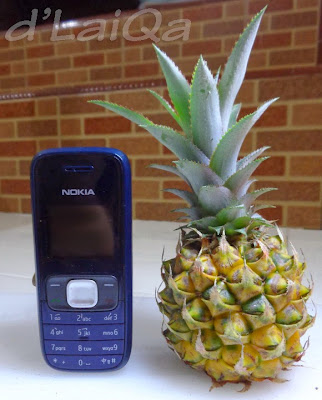 Nokia 1209 dan Nanas