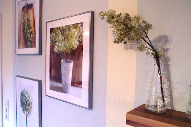 eigenfarbig: Januar 2012