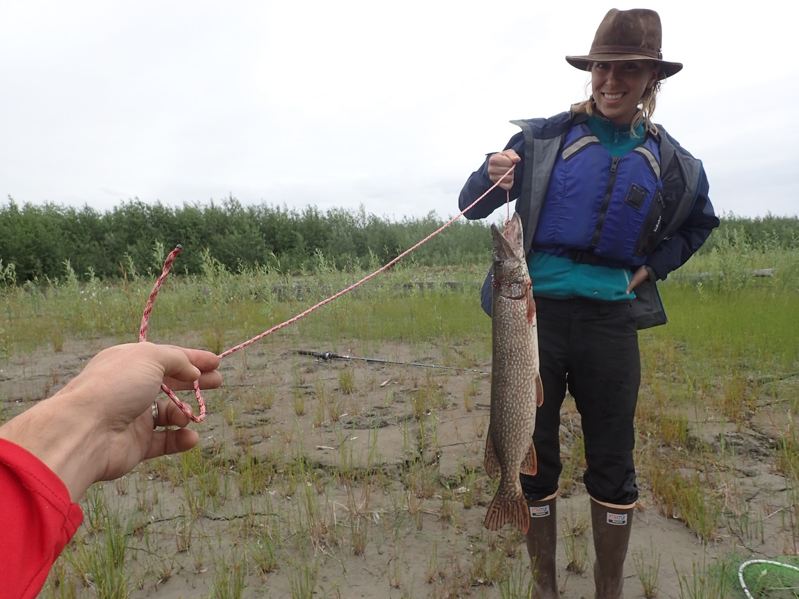 alaskatracks Nenana to Tanana