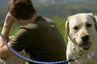 Labrador Retriever dog and owner on a bushwalk