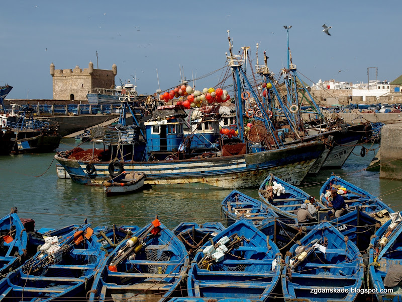 Essaouira - Port rybacki
