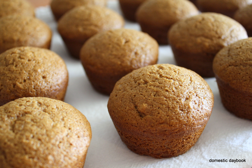 Homemade Whole Wheat Muffins