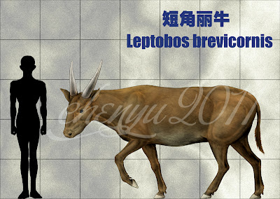vacas prehistoricas Leptobos