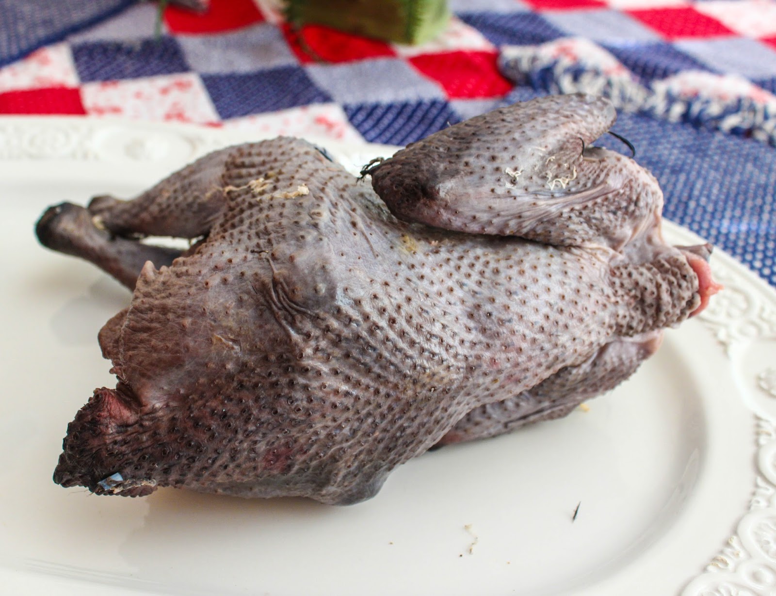 Cannundrums: Ayam Cemani Chicken - Sous Vide