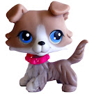 Littlest Pet Shop Portable Pets Collie (#67) Pet