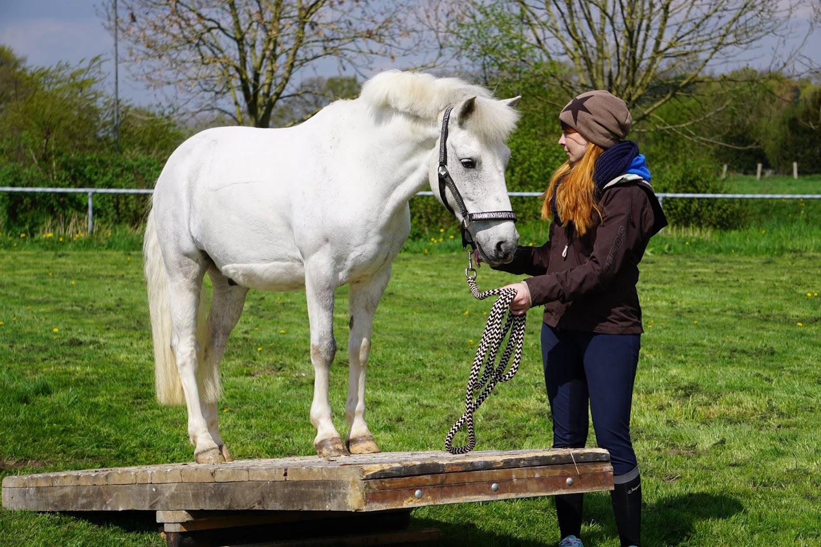 Pferdesport Kreis Kleve