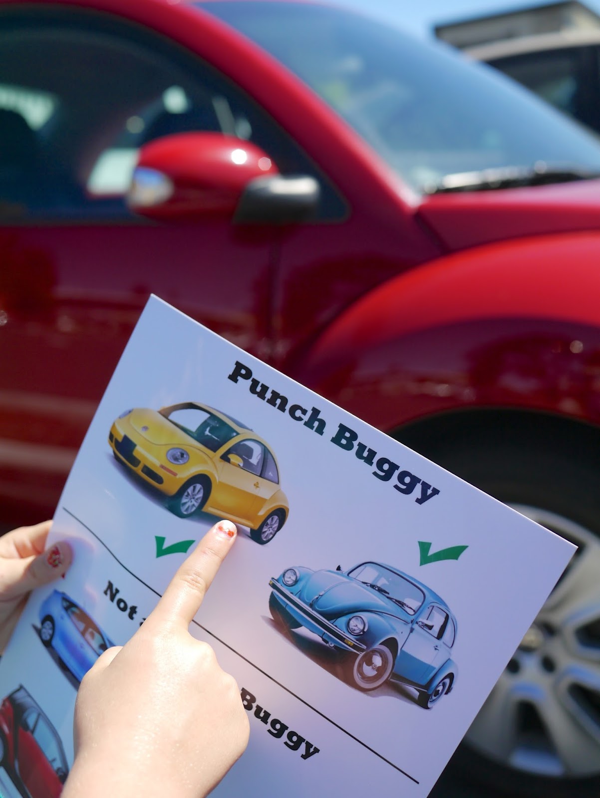 Little Hiccups Punch Buggy Field Guide