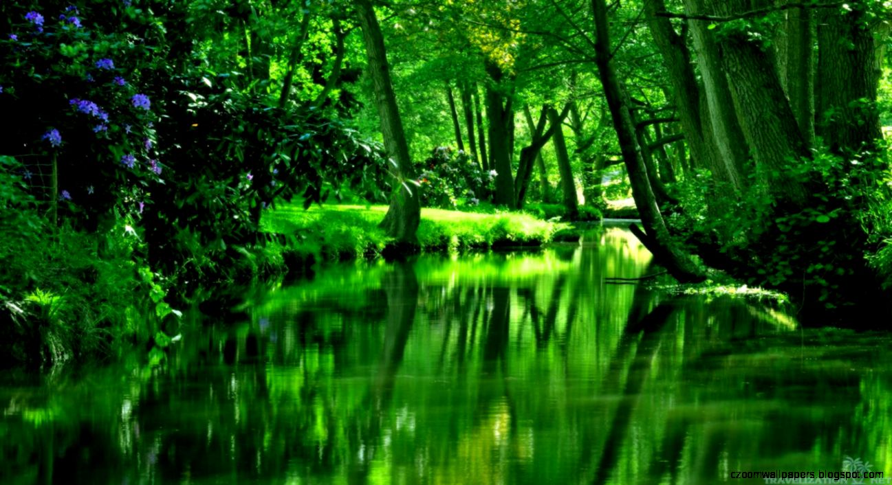 Nature Forest Green River   1366x768 iWallHD   Wallpaper HD