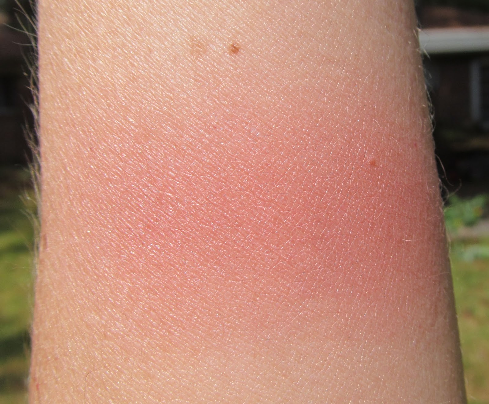 estee lauder rebellious rose blush