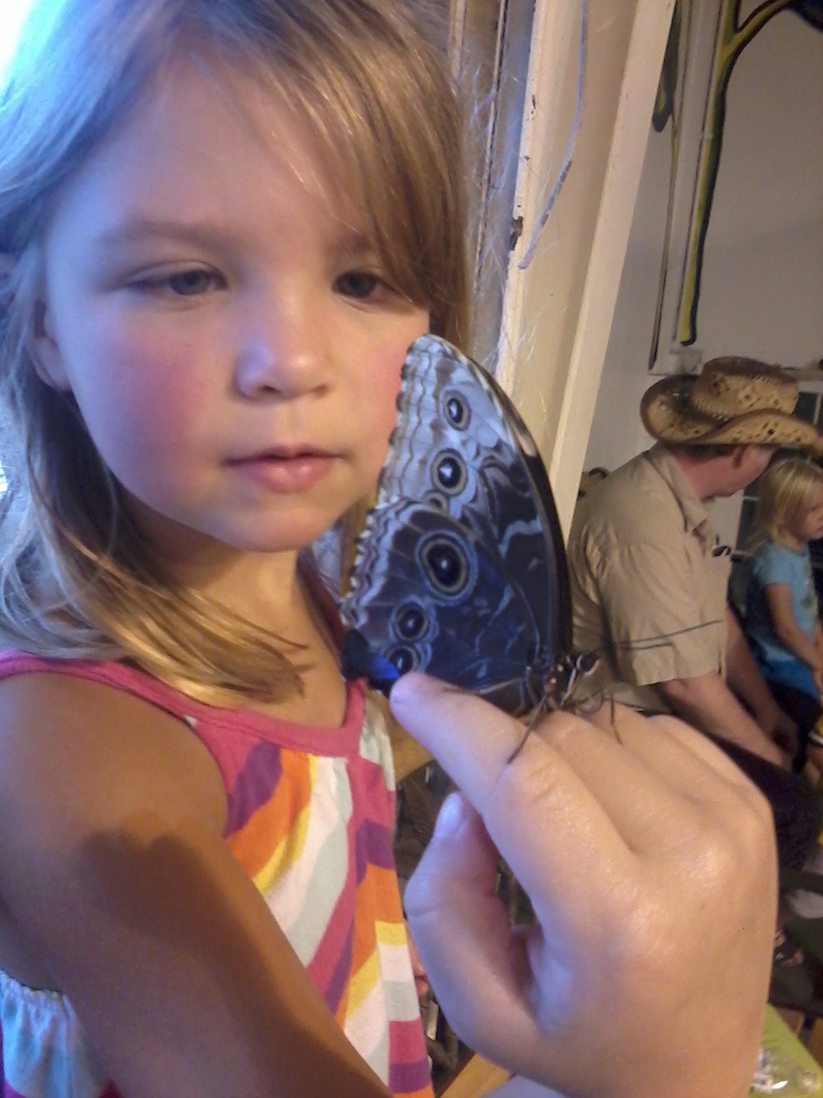 Mommy s Nest Our State Fair Is A Great State Fair mommy-s-nest-our-state-fair-is-a-great-state-fair