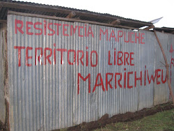 Resistencia Mapuche