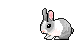 Bunny hopping animation
