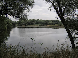 IMG_3543.JPG