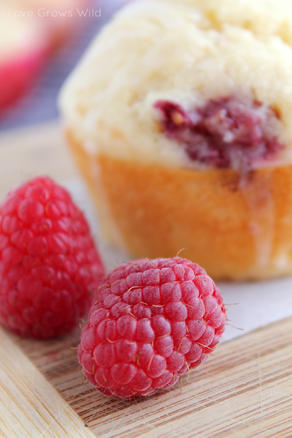 Lemon Raspberry Muffins by Love Grows Wild www.lovegrowswild.com #breakfast #brunch #muffin #raspberry #lemon #recipe