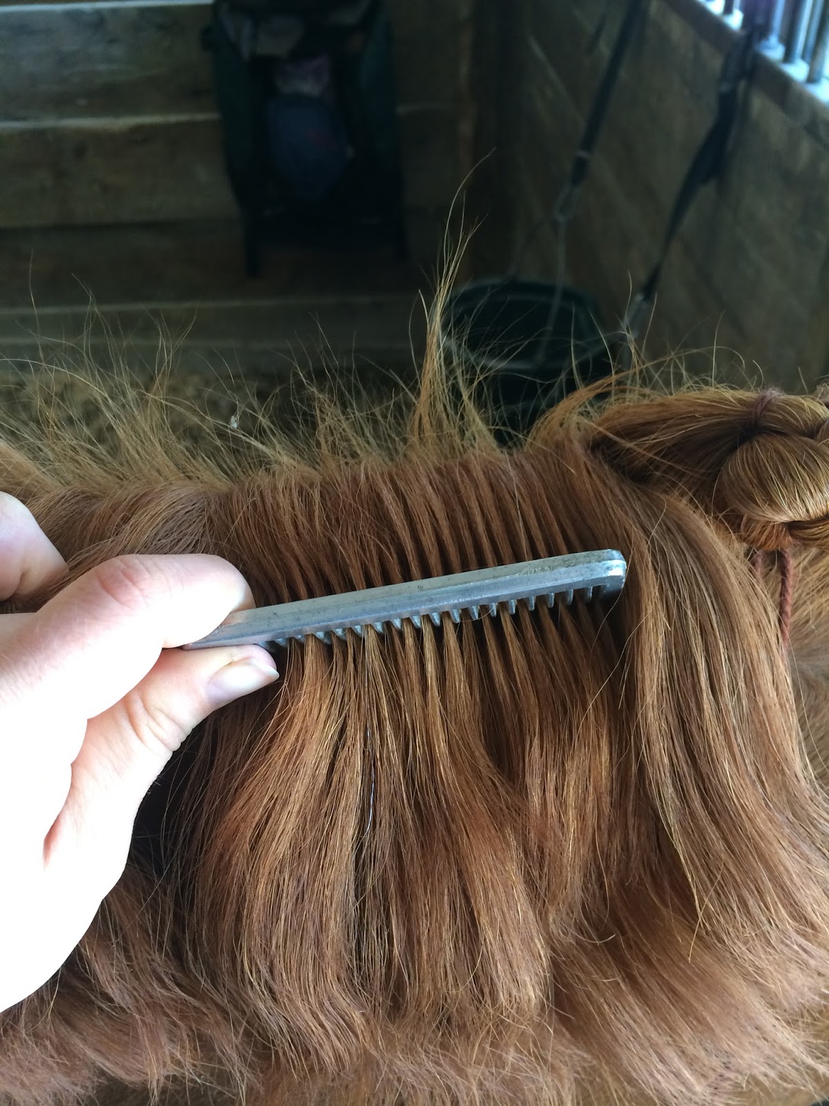 Fluffy Dutch Style Dressage Braids The Long Awaited Braiding Tutorial