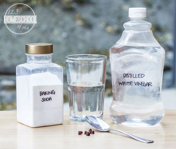 Dancing Raisins Science Experiment