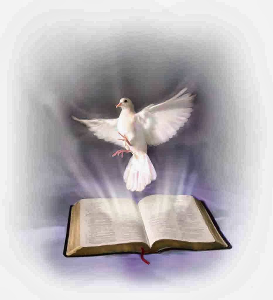 Moore Perspective Questions About the Holy Spirit (Part 2 of 2)