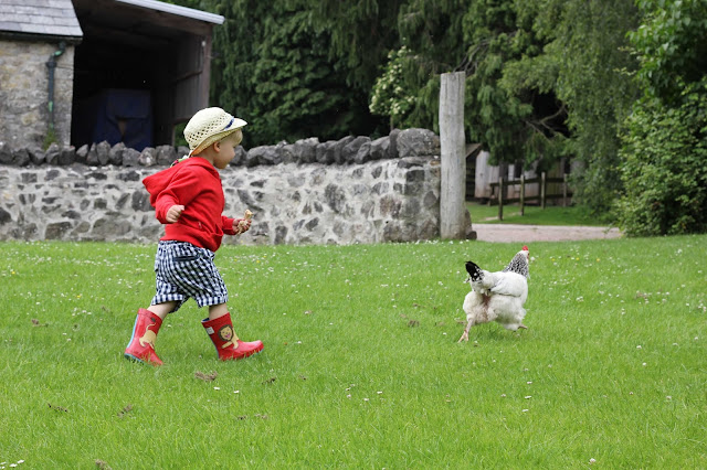 toddler farm fun