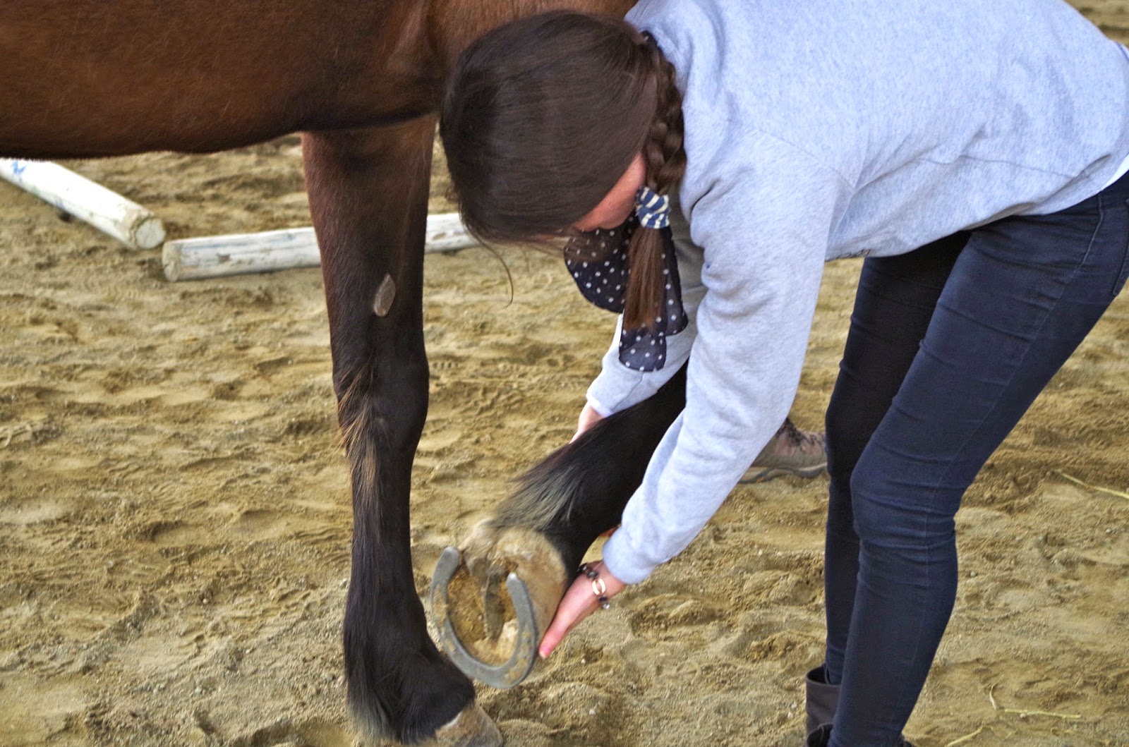 Tacchi a Cavallo The Touch That Teaches introduction to the