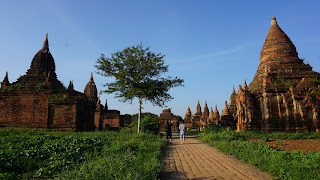 DSC06968.JPG