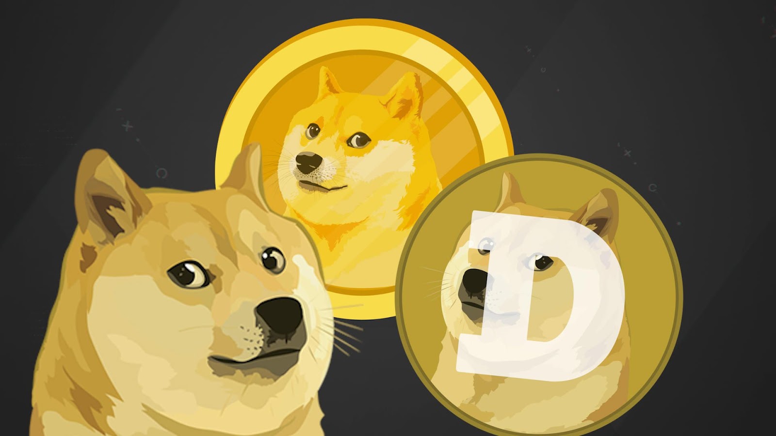 dogecoin will it go up again